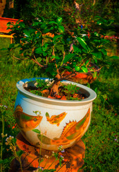 Similar image 6050774