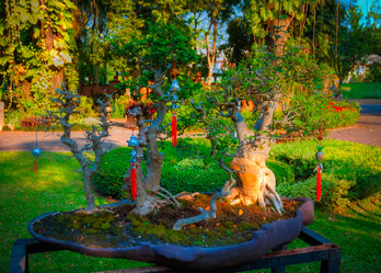 Similar image 6050775