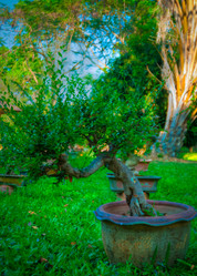 Similar image 6050796