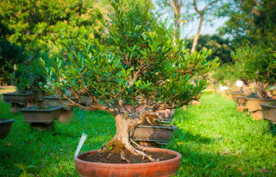 Similar image 6050799