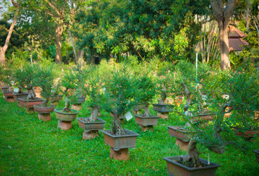 Similar image 6050801