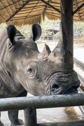 Similar image 6050851