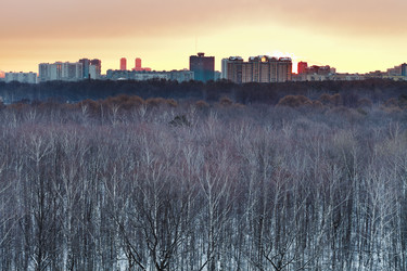 Similar image 6050867