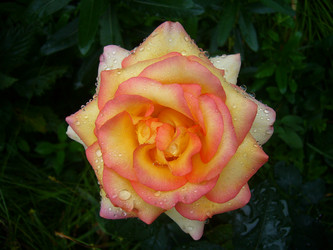 Similar image 6050923