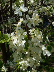 Similar image 6050943