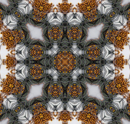 Similar image 6051007