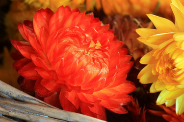 Similar image 6051034