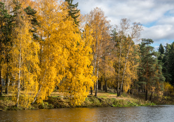 Similar image 6051081