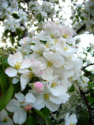 Similar image 6051091