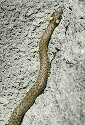 Similar image 6051124