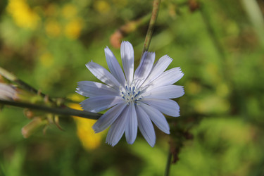 Similar image 6051154