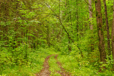 Similar image 6051198