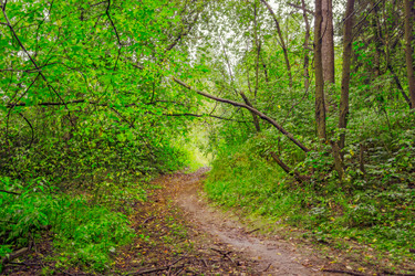 Similar image 6051209