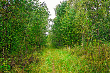 Similar image 6051241