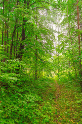 Similar image 6051243