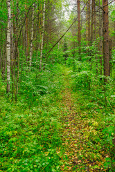 Similar image 6051245