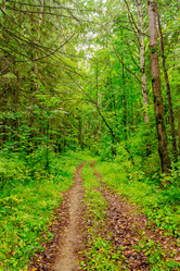 Similar image 6051247