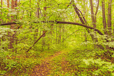 Similar image 6051249