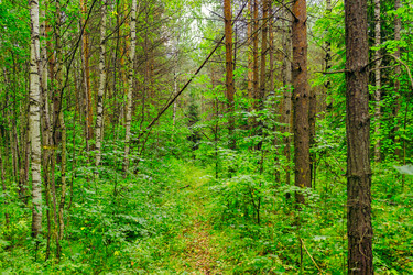 Similar image 6051250