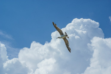 Similar image 6051271