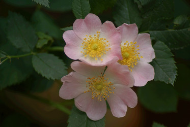 Similar image 6051283