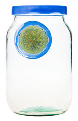 Similar image 6051448