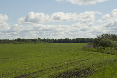 Similar image 6051510