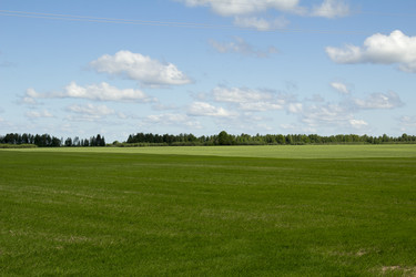 Similar image 6051512