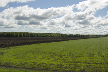 Similar image 6051514