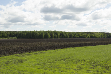 Similar image 6051521