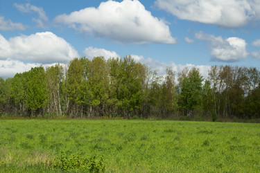 Similar image 6051528