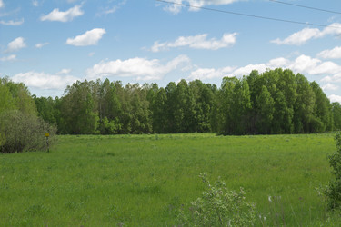 Similar image 6051529