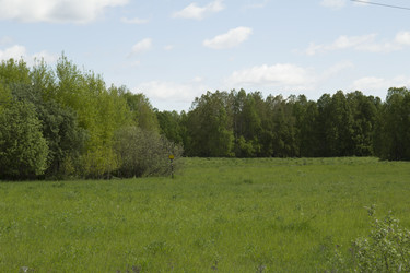 Similar image 6051532