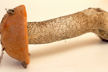 Similar image 6051534