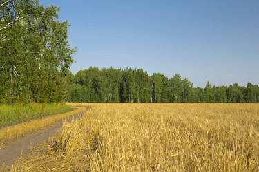 Similar image 6051535