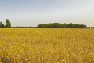 Similar image 6051536