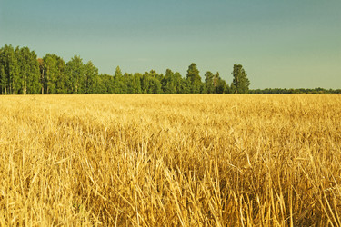 Similar image 6051538