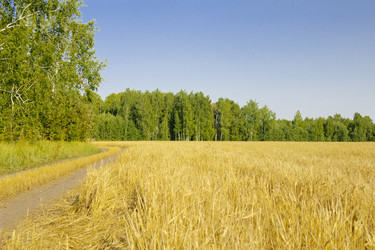 Similar image 6051540