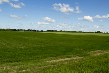 Similar image 6051544