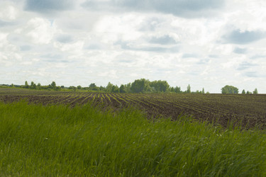 Similar image 6051553