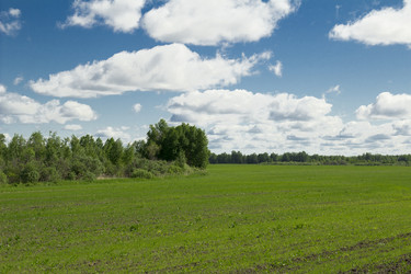 Similar image 6051554