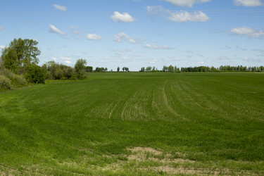 Similar image 6051555