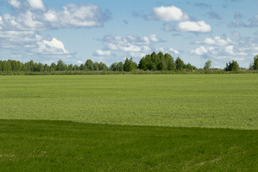 Similar image 6051556