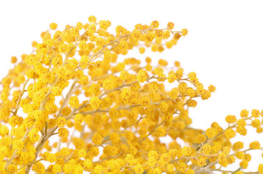 Similar image 6051647