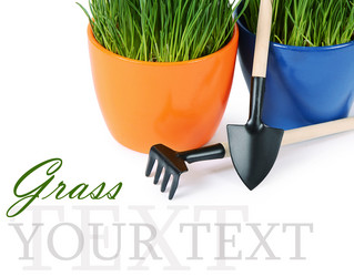 Similar image 6051654