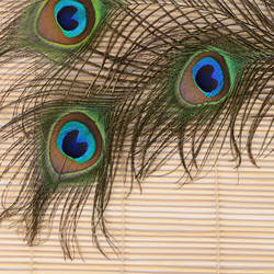 Similar image 6051697