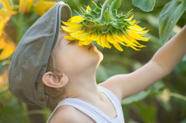 Similar image 6051911