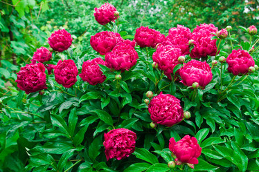 Similar image 6052423