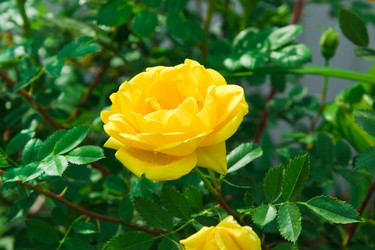 Similar image 6052425