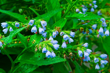 Similar image 6052428